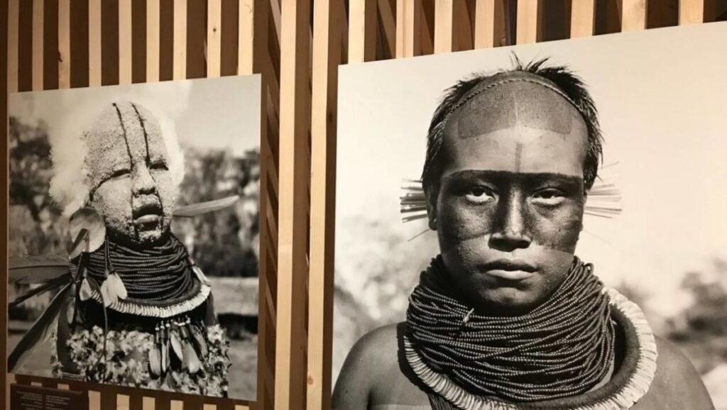 exposition amazonie le chamane et lesprit de la foret