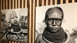 exposition amazonie le chamane et lesprit de la foret