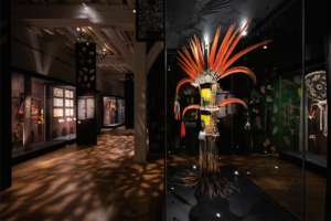 exposition amazonie le chamane et la pensée de la forêt
