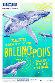 baleinopolis