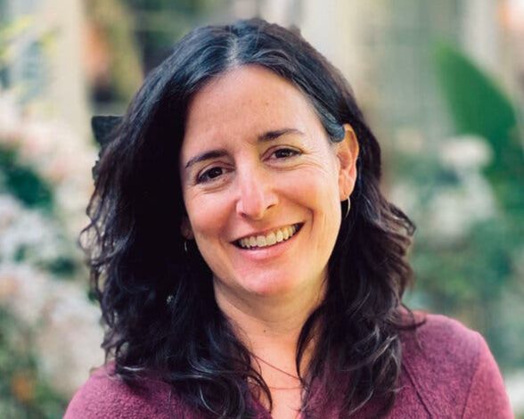 aimee bender