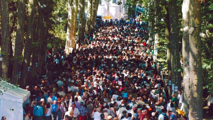 la forêt des livres