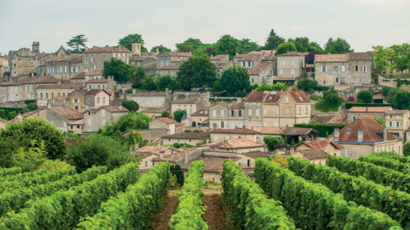 saint emilion et ses vignes