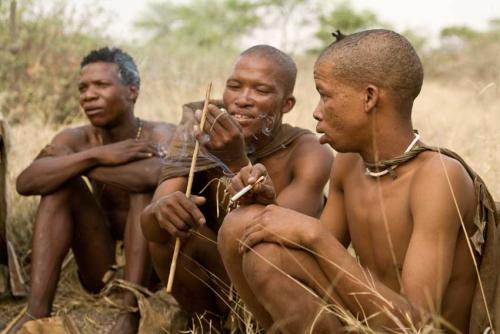 namibie chasseurs cueilleurs