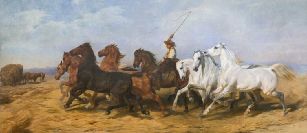 rosa bonheur chevaux