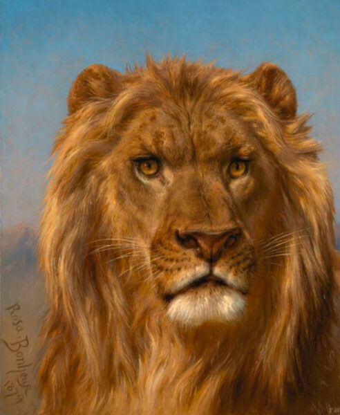 rosa bonheur lion