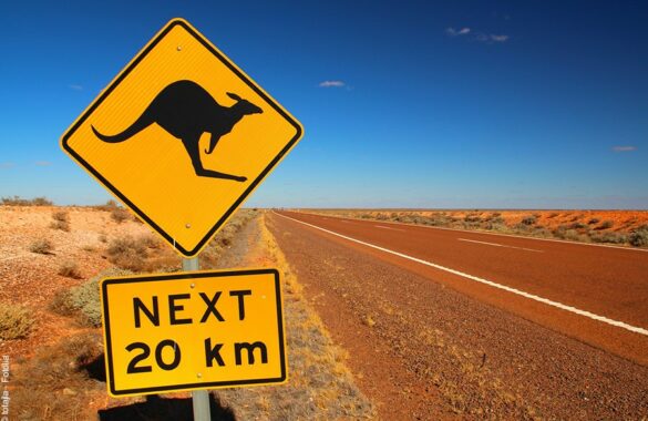 songlines desert australien