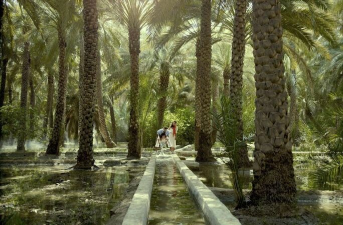 abu dhabi oasis al ain