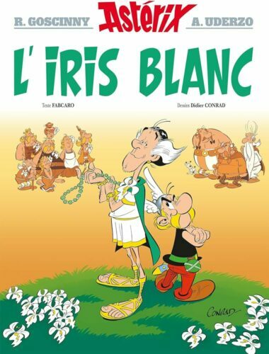 L’Iris blanc asterix