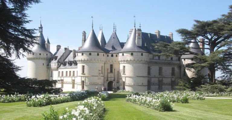 il était une fois un jardin