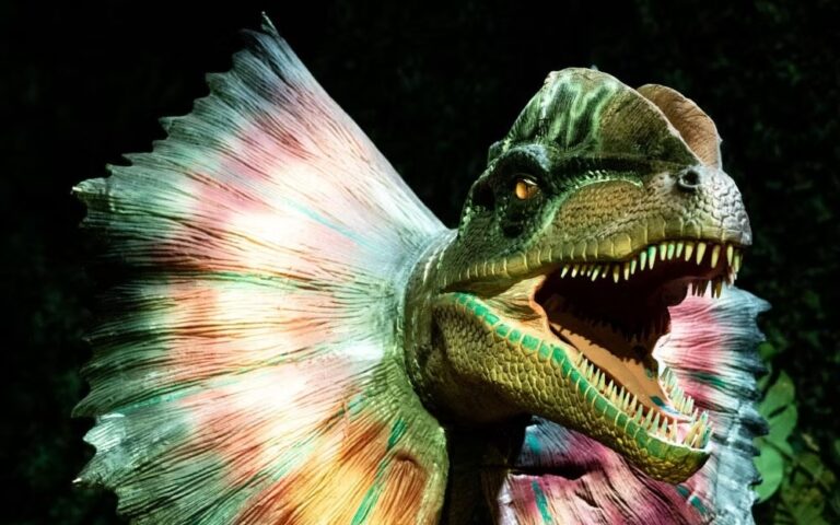 dinos alive