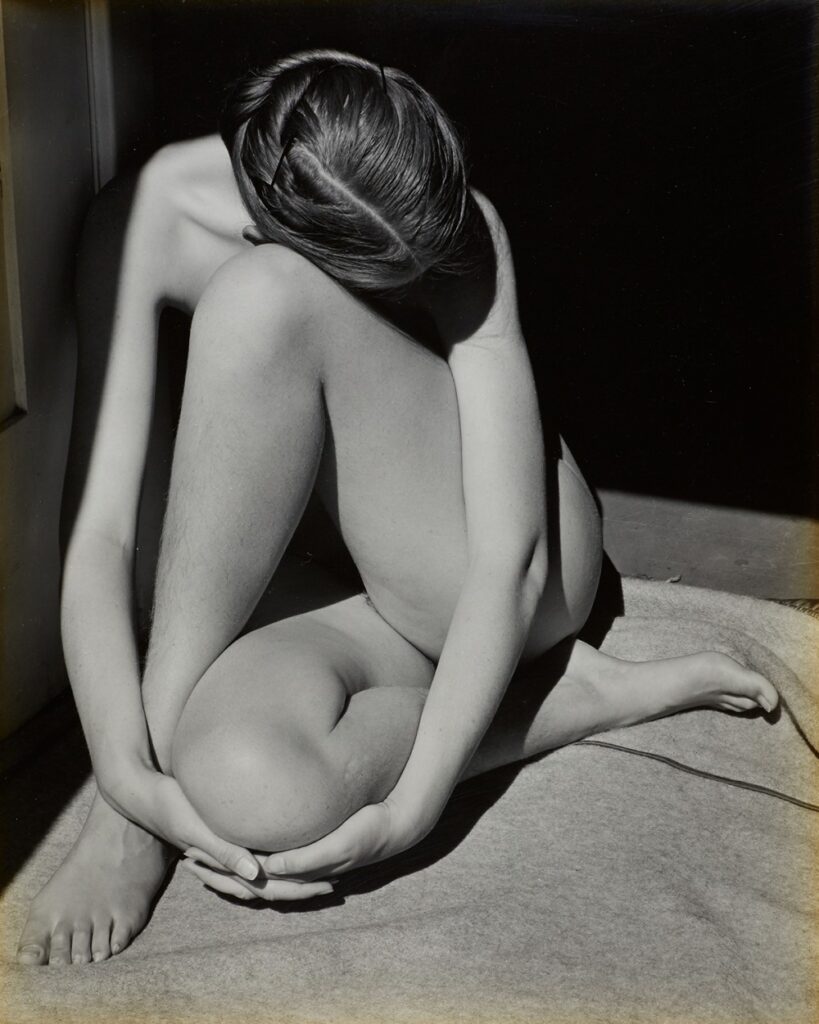 Les 13 expositions incontournables