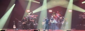 the roots