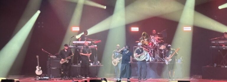 the roots