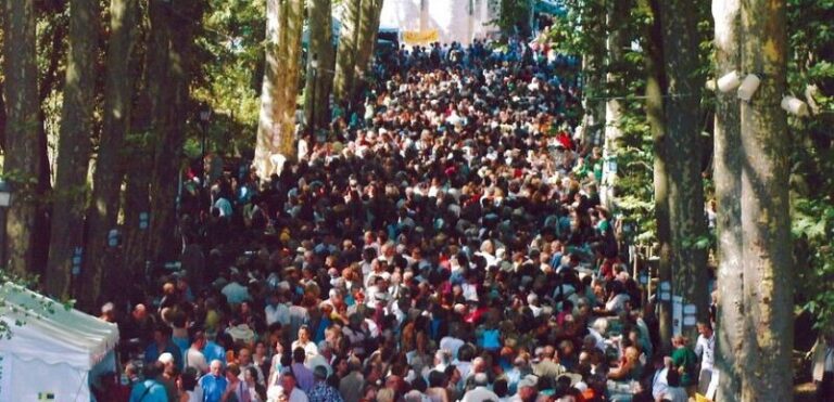 la forêt des livres