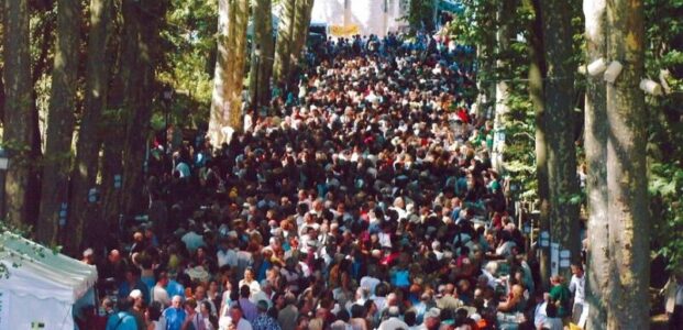 la forêt des livres